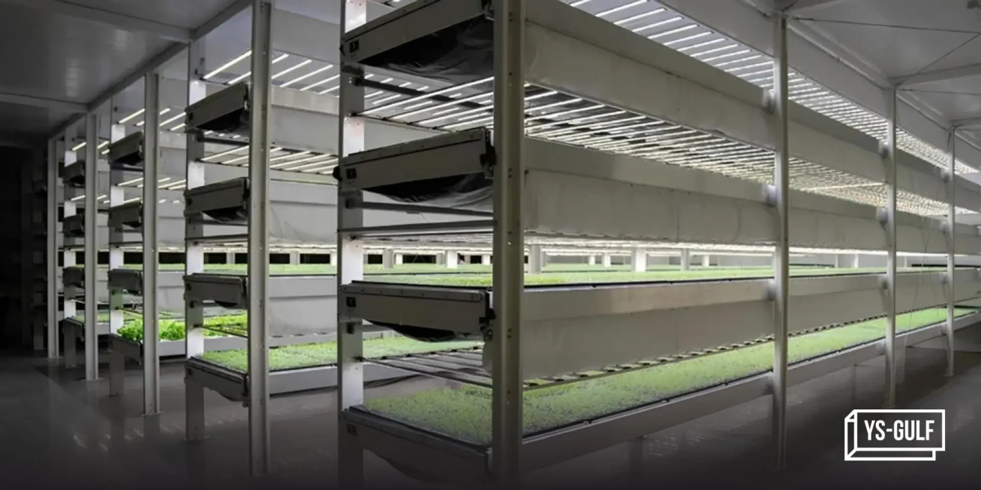ADQ’s AgTech Park rolls out vertical farming project