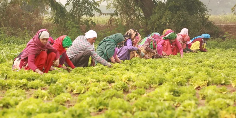 women in farms