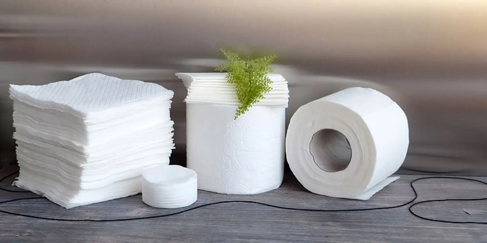 Here are 5 sustainable alternatives to tree-based paper to reduce deforestation