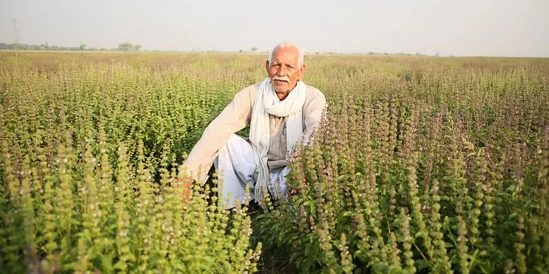 Rural employment