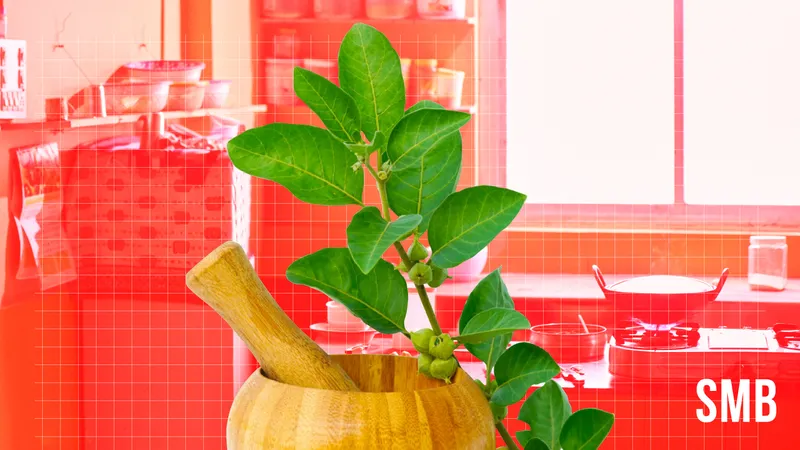 Ayurvedic brands 