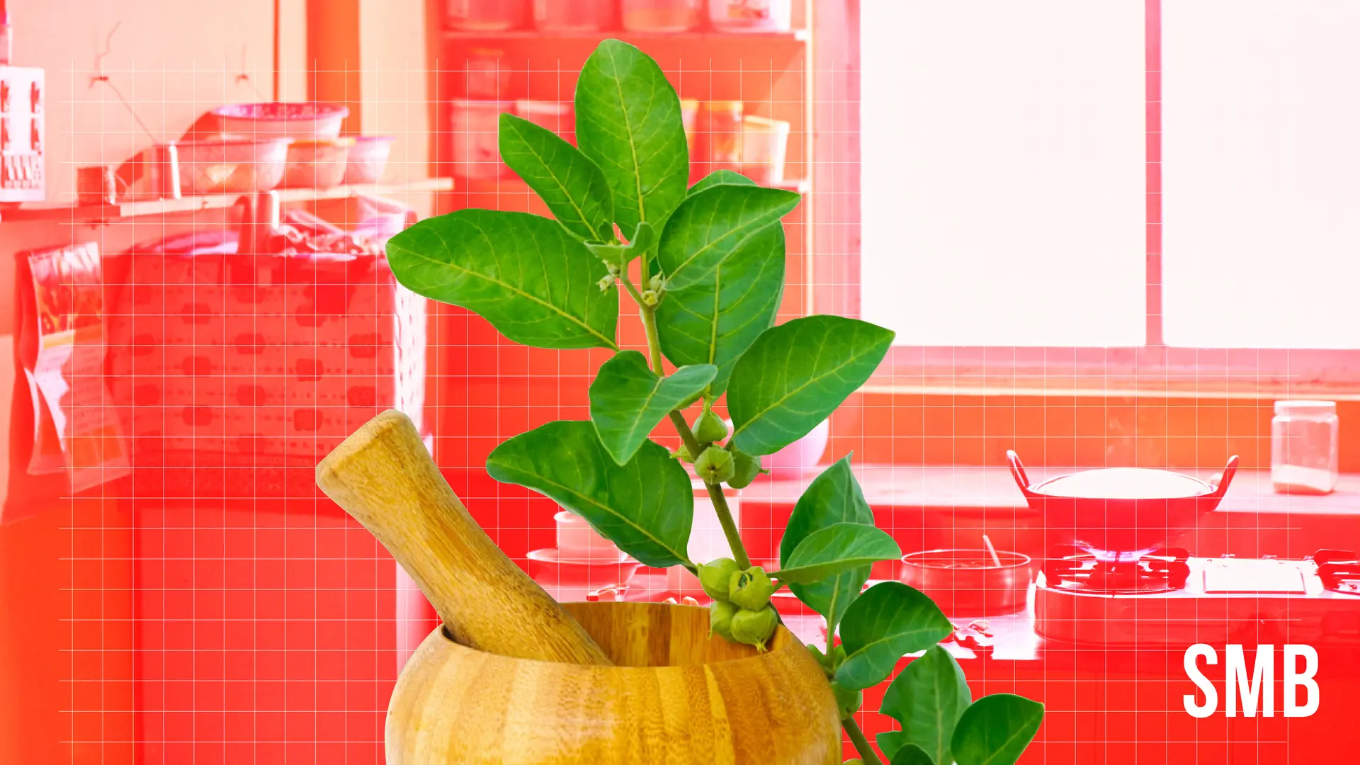 Wellness the Ayurvedic way: 7 homegrown brands shaping India’s wellness market
