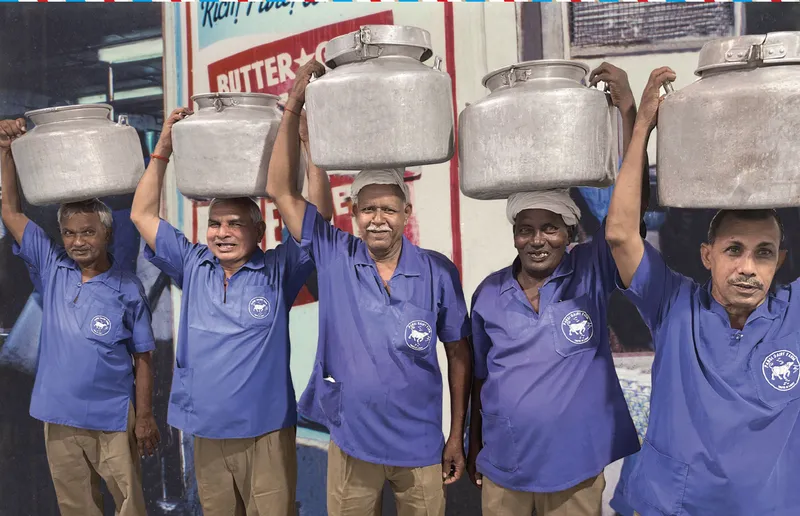 Parsi Dairy Farm