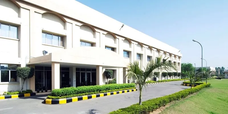plant