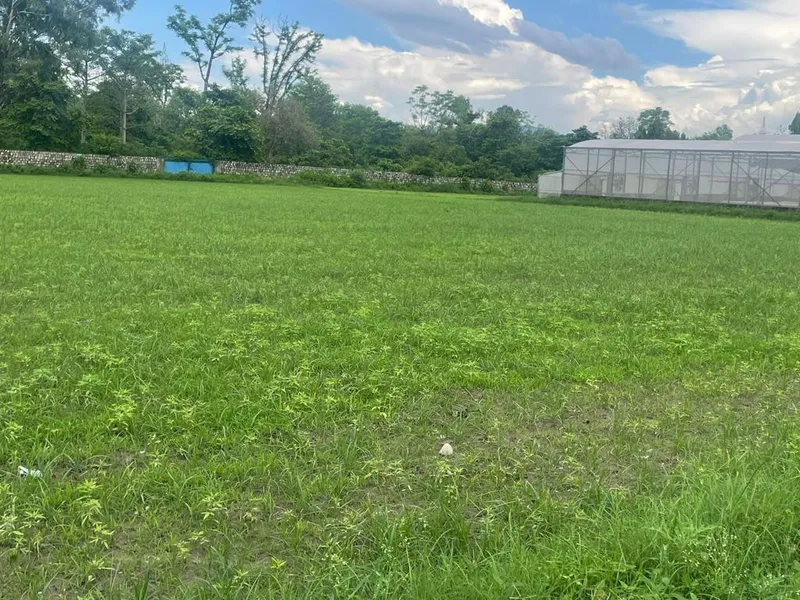 Namrata Hemp farm