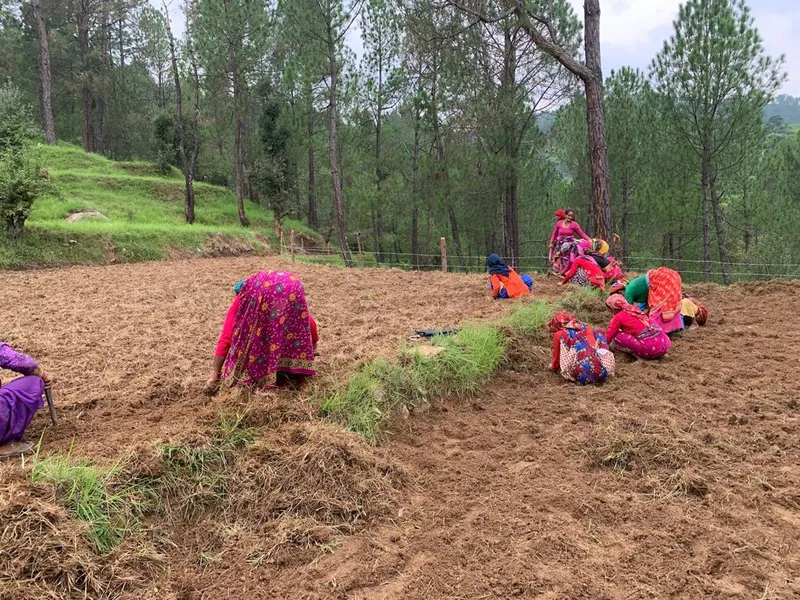Namrata Hemp farmers