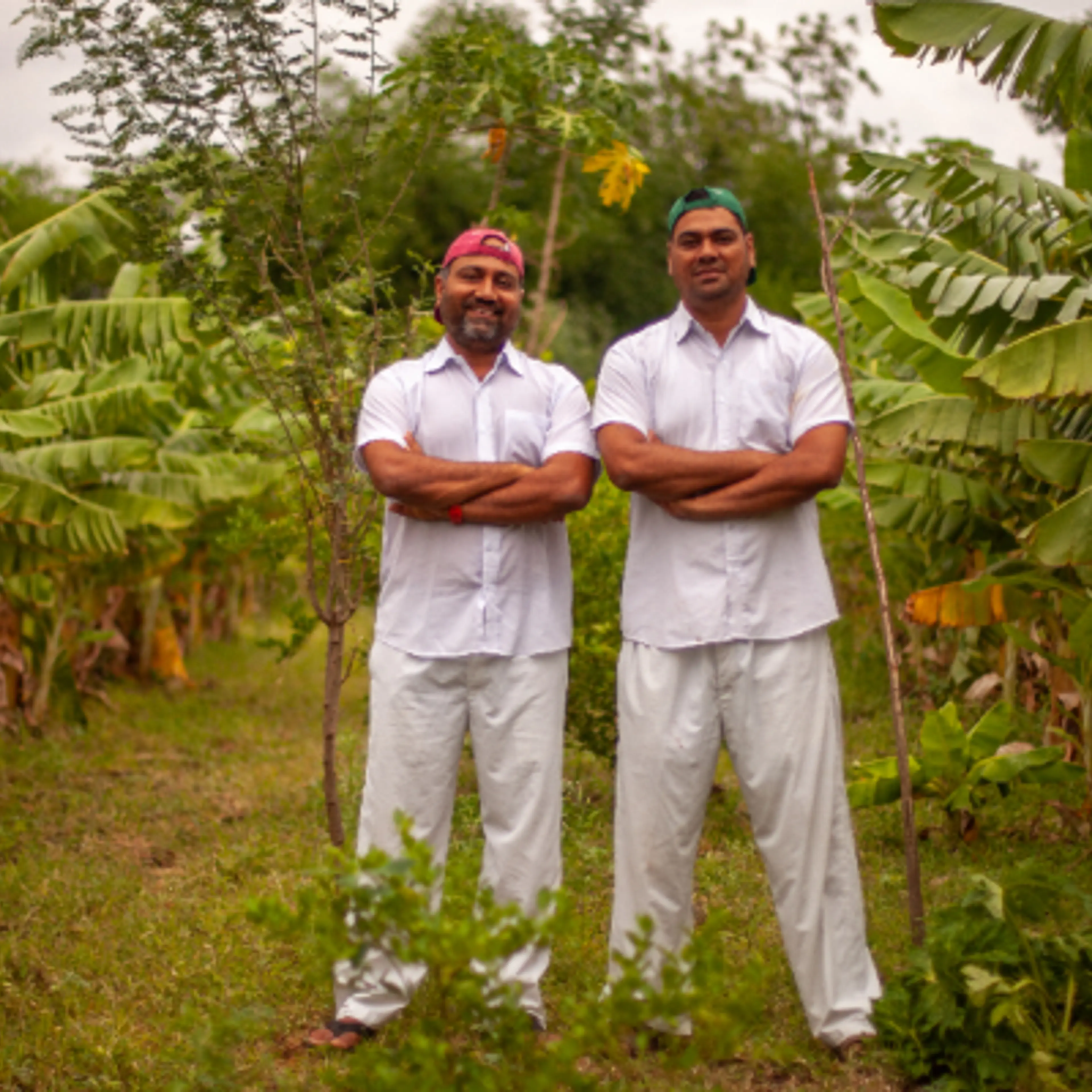 How two sons of a farmer built a seed-to-shelf organic products D2C brand clocking Rs 12 Cr turnover