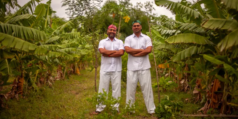 Two Brothers Organic Farm