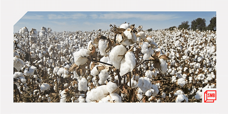 Can solving the cotton crisis provide a boost to the Indian textile MSMEs?
