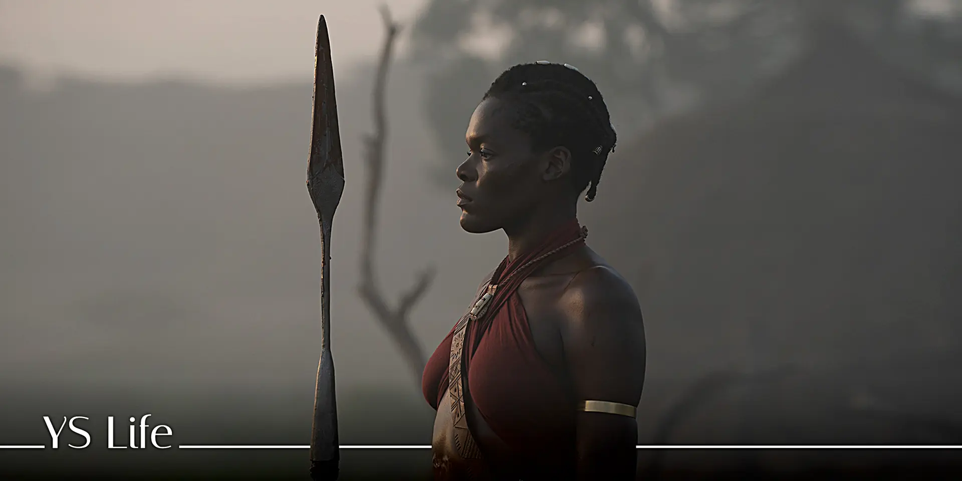Cinematic spectacle, with a superb Viola Davis, makes The Woman King a worthwhile watch