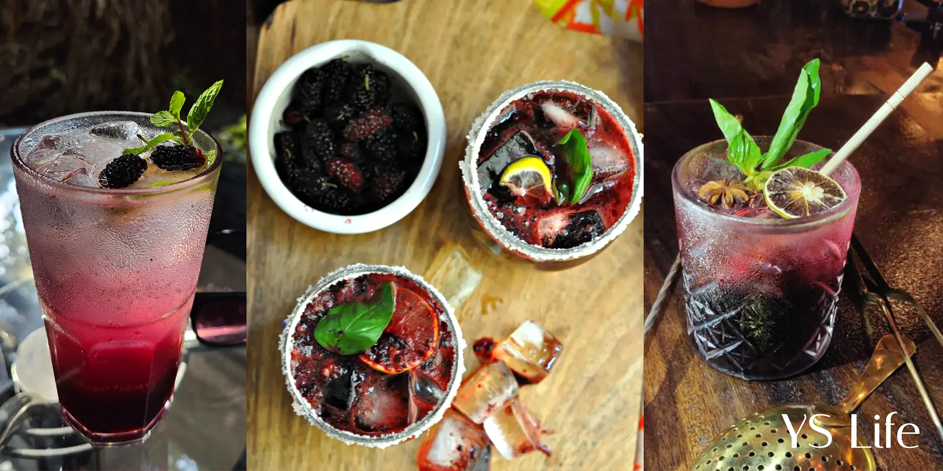 Mulberry kofta to mul-jeera: Chefs are getting creative with the berry of winter!