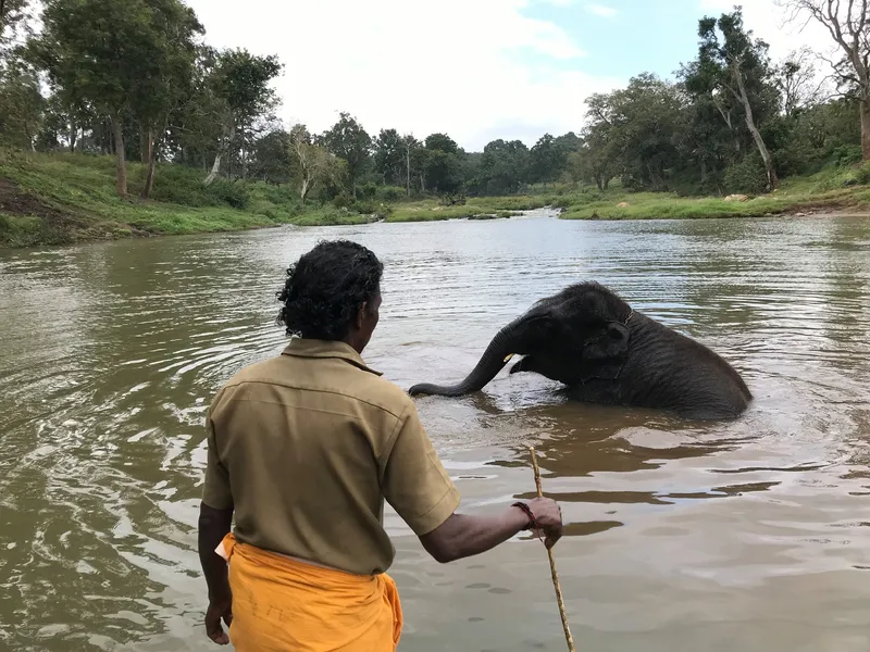The Elephant Whisperers 