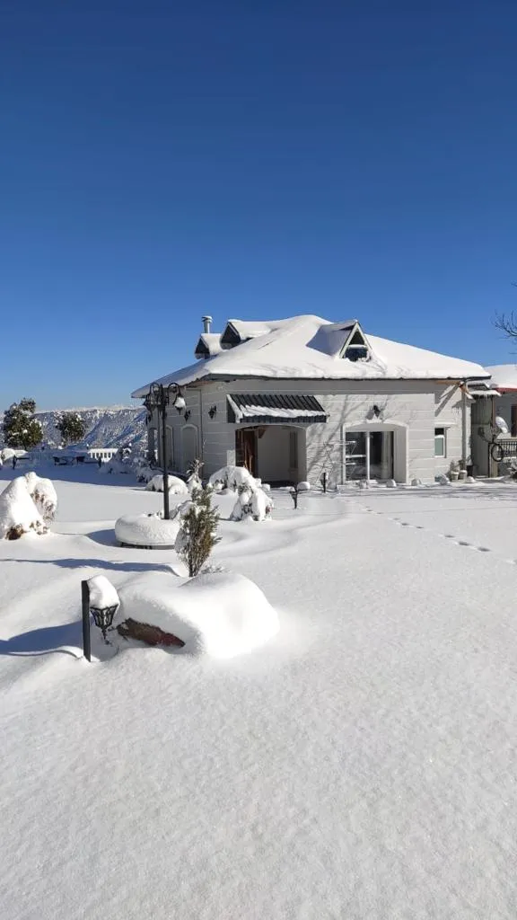 Barefoot Bungalow