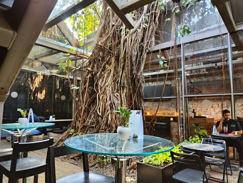 Banyan Tree Cafe 