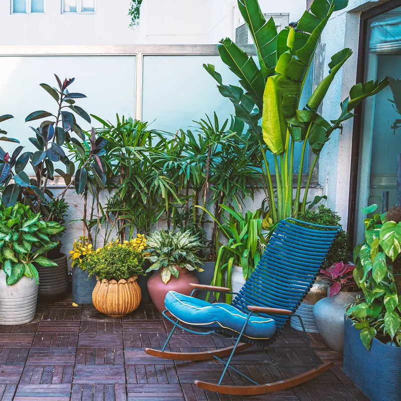 gardening trends 