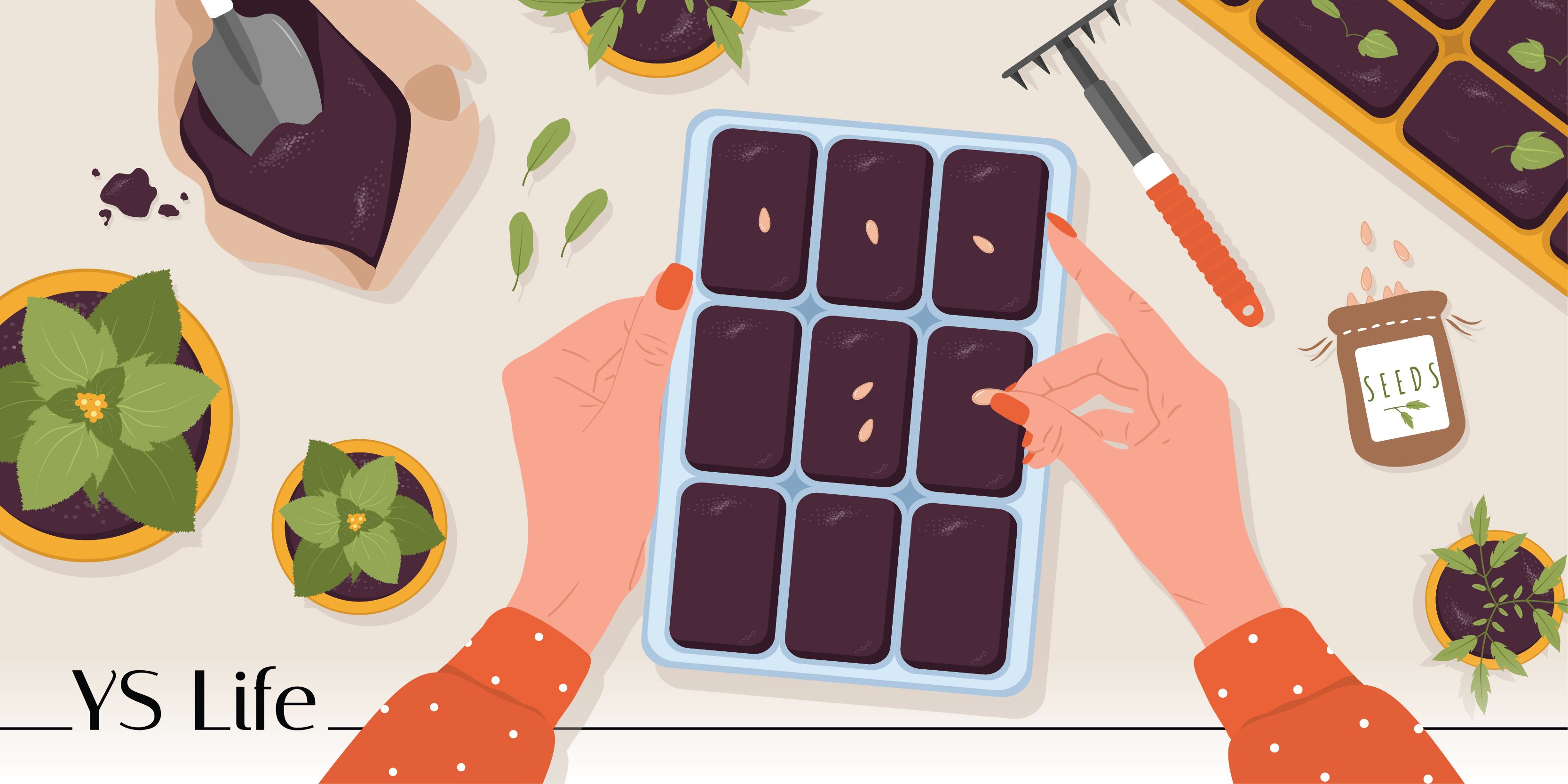 Dig deeper into gardening with these six trends