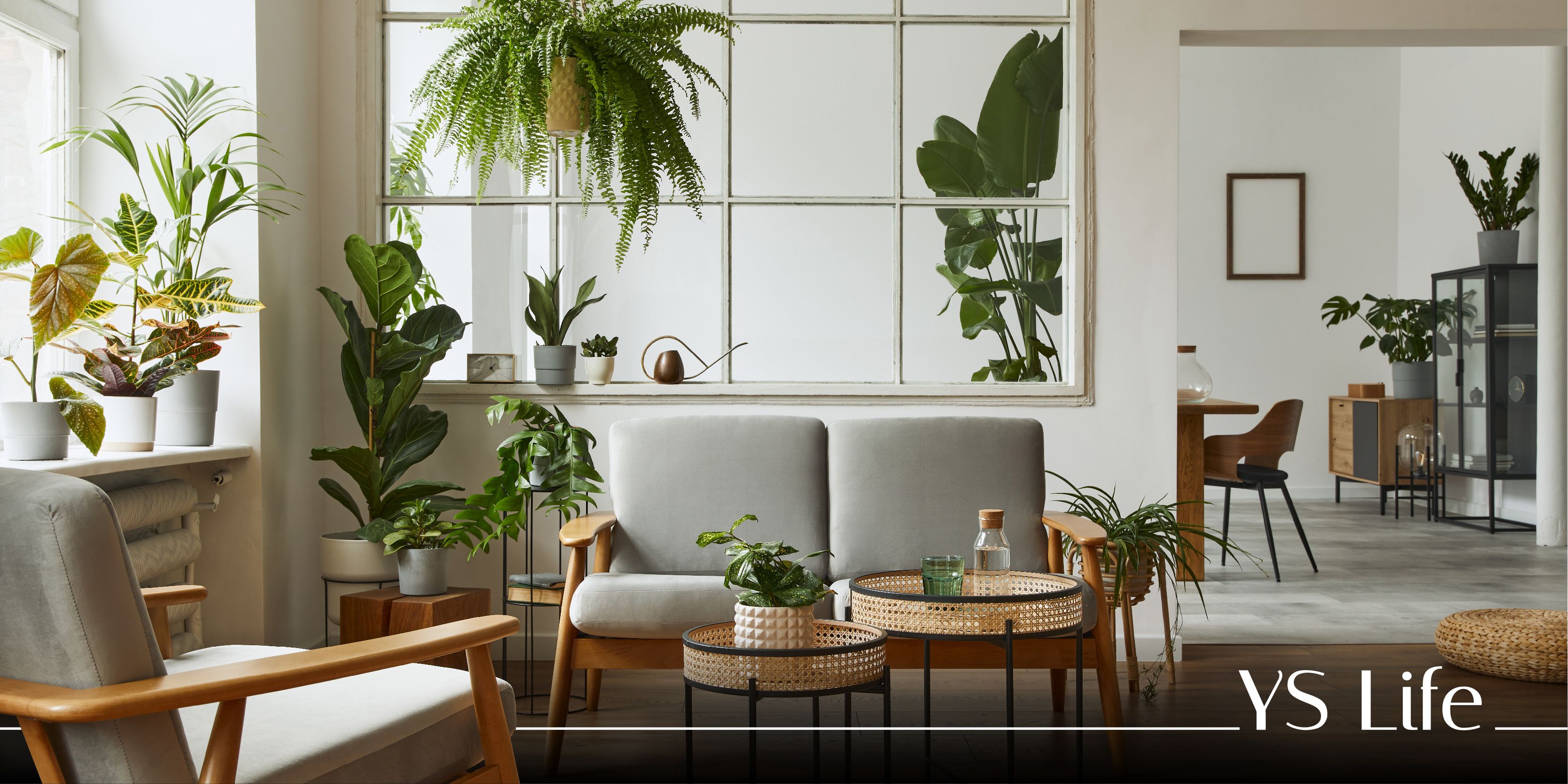 Bring a touch of nature indoors and enrich your life