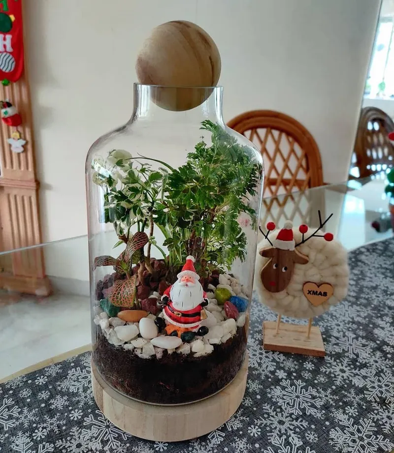 terrarium