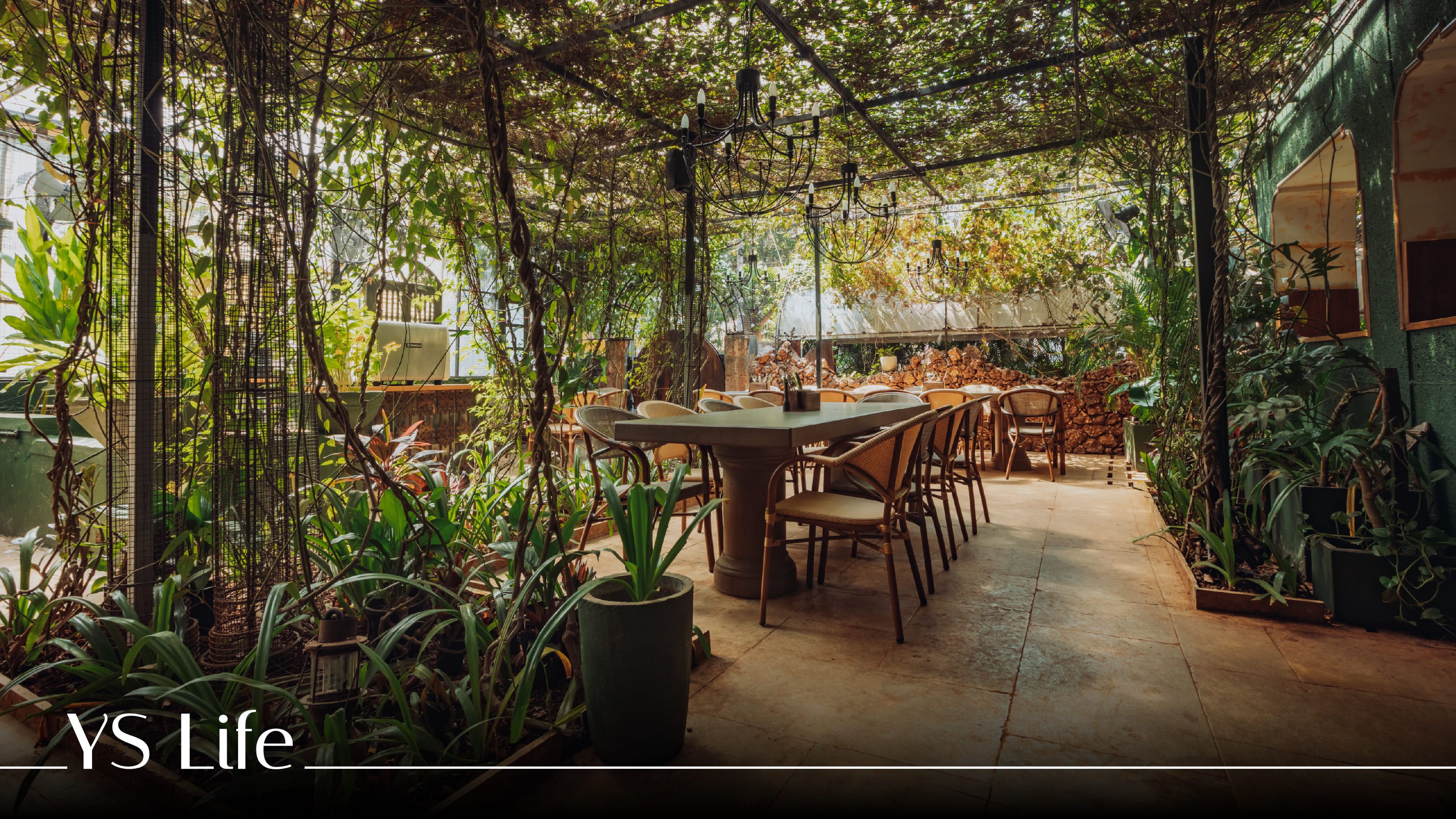 Inside Lento’s slow-brewed philosophy