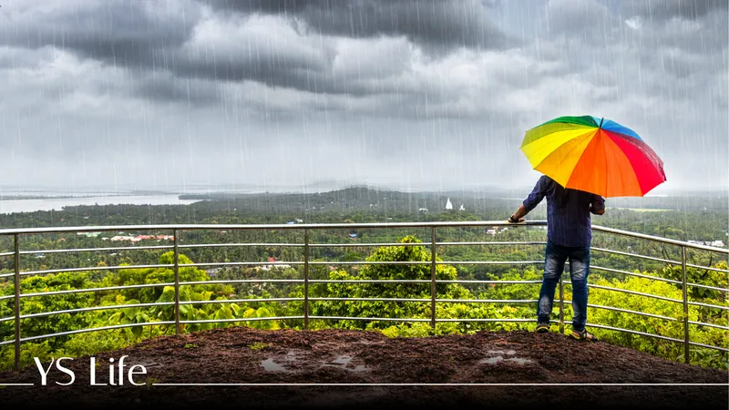 traveller's guide to monsoon 