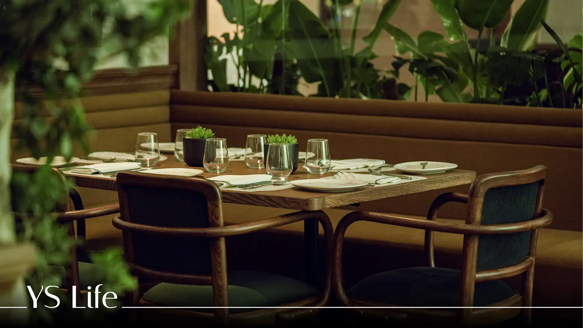 NOE’s classic-meets-contemporary menu is a diner’s delight