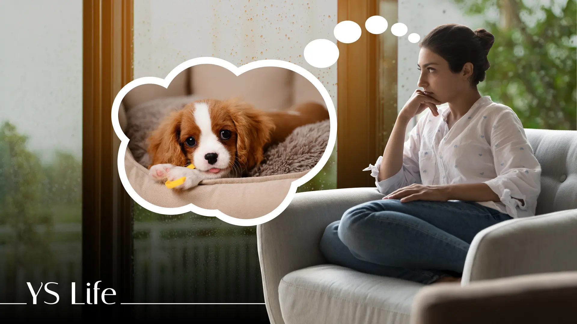 Why millennials and Gen Z are choosing to raise pets over children