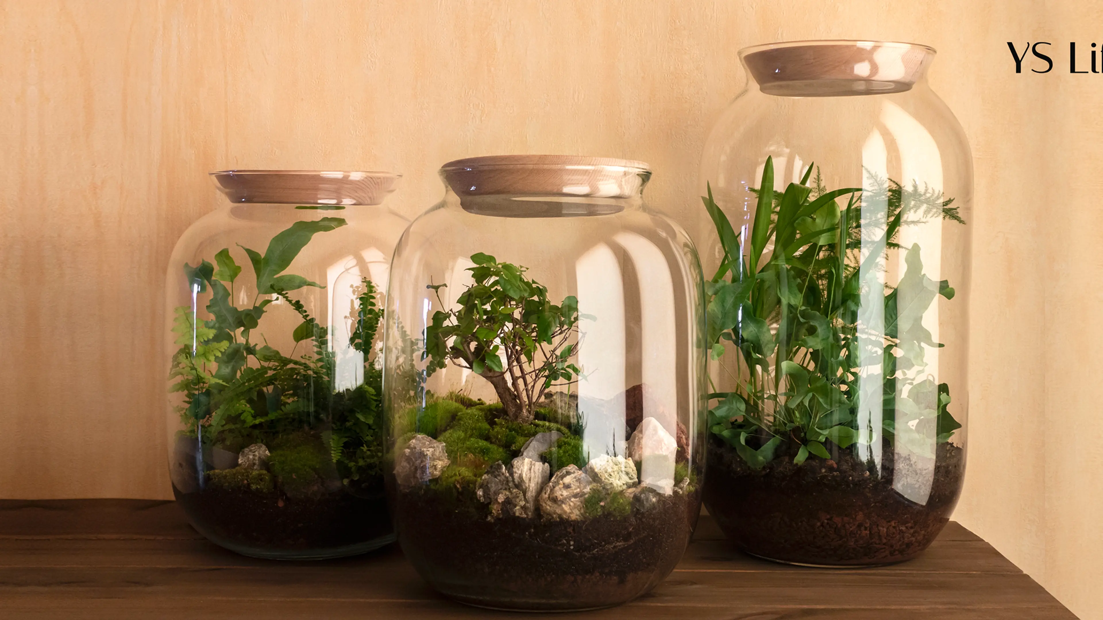 Creating your own green patch with terrariums