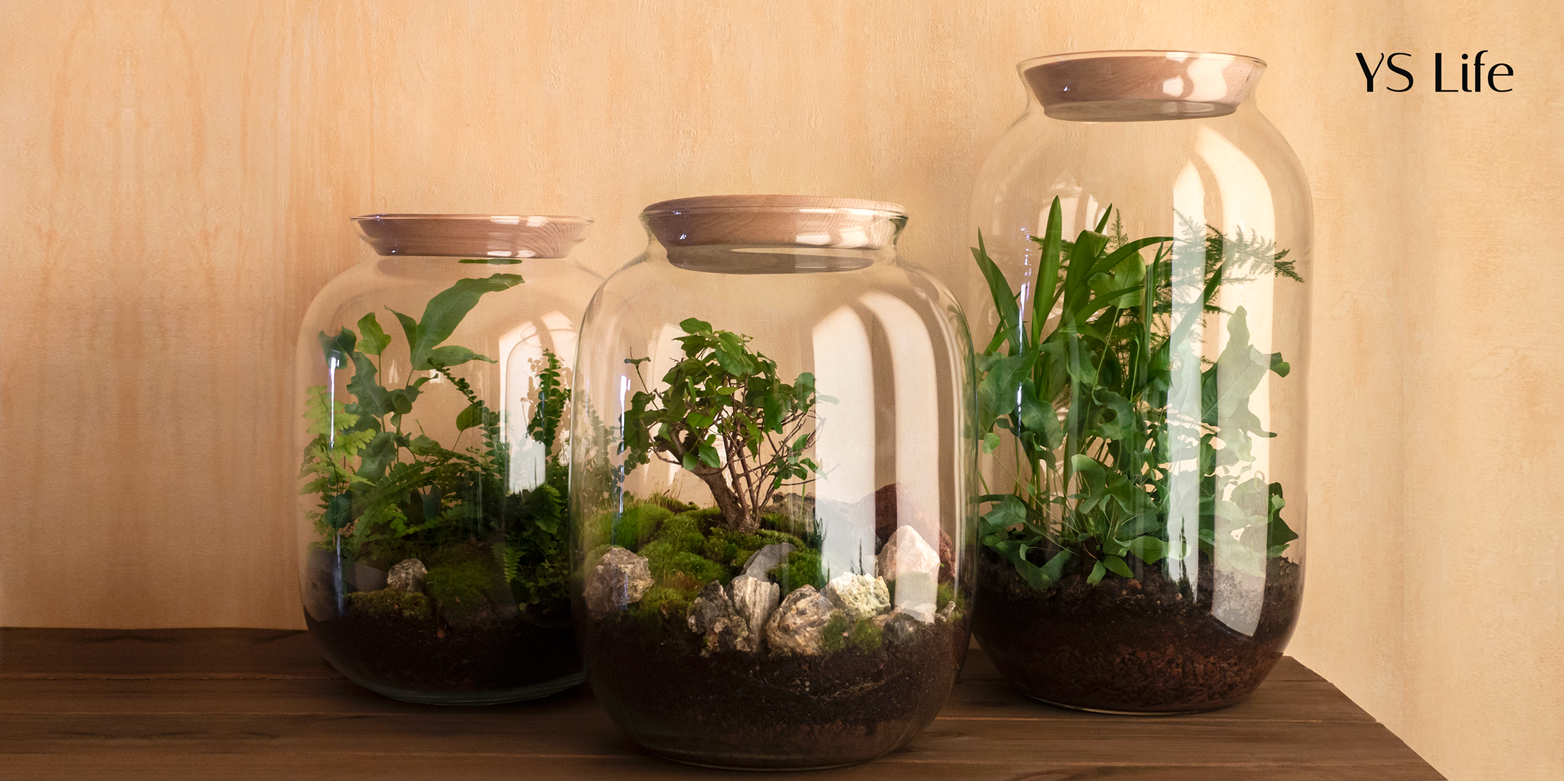 Creating your own green patch with terrariums