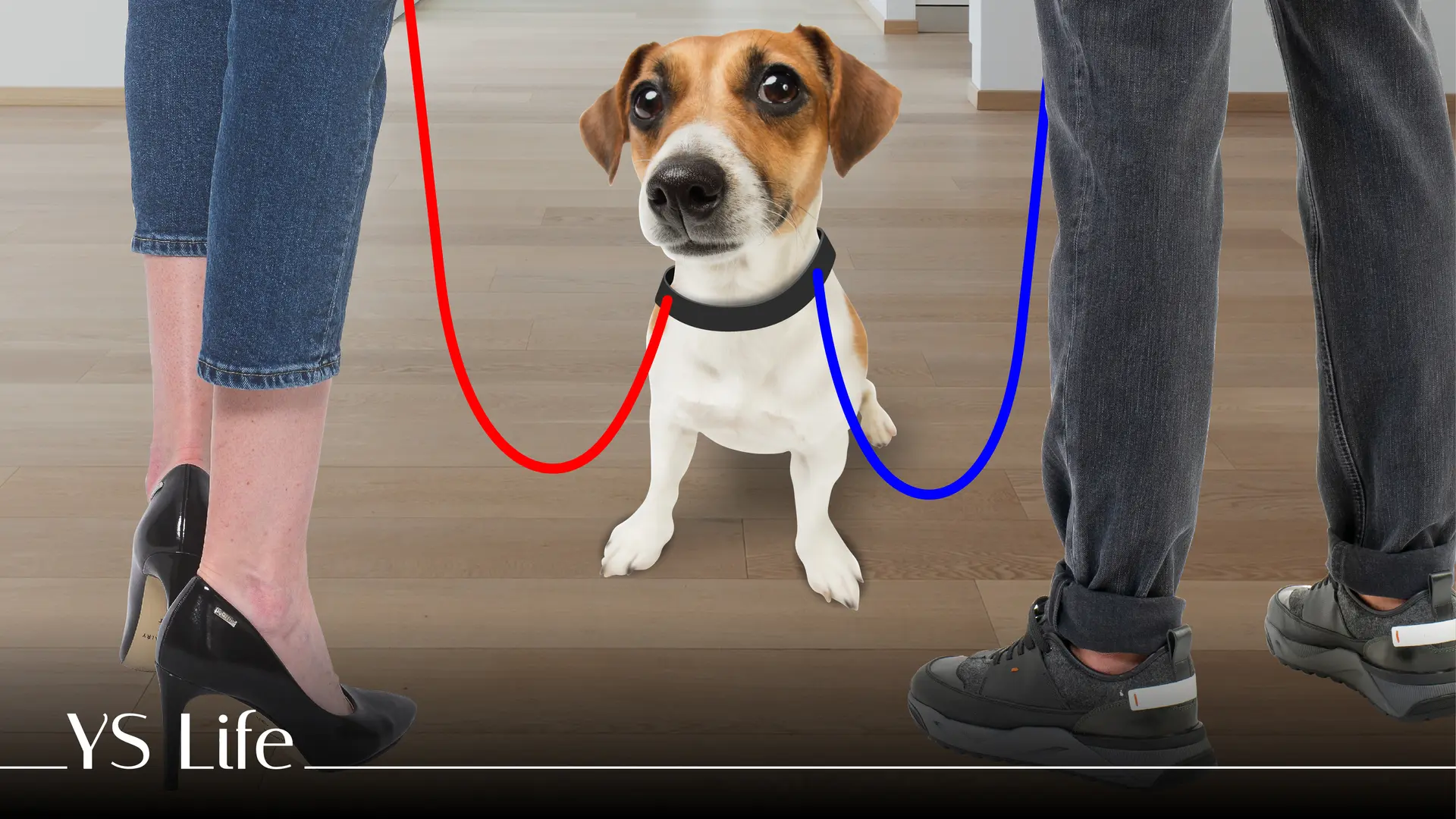 Who gets the pet’s custody after a breakup?