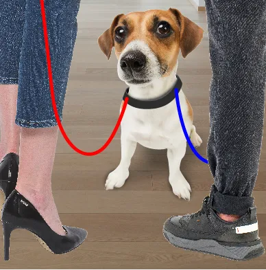 pet breakup
