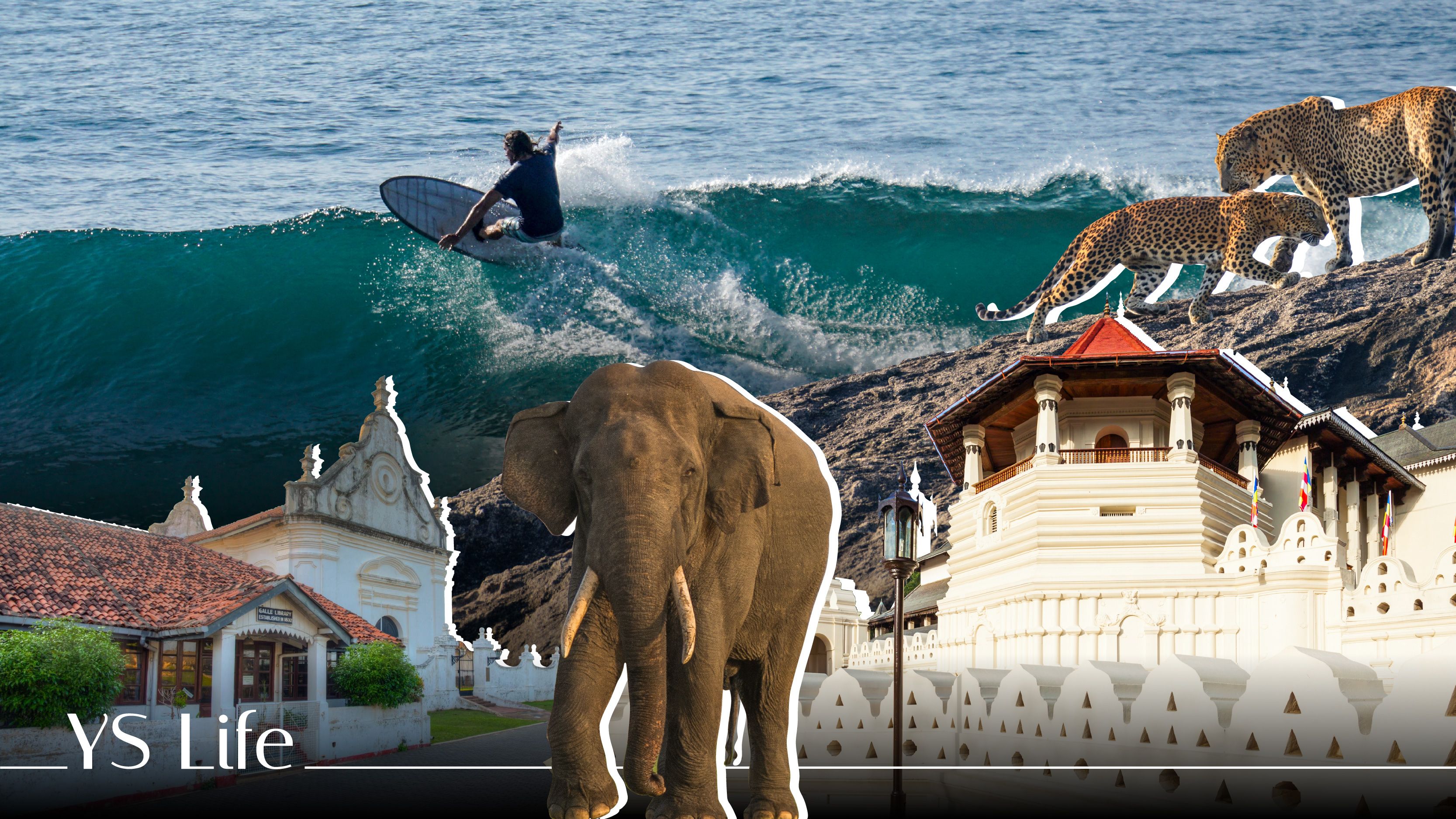 Crabs, cocktails and coastlines: Experiencing Sri Lanka like a local