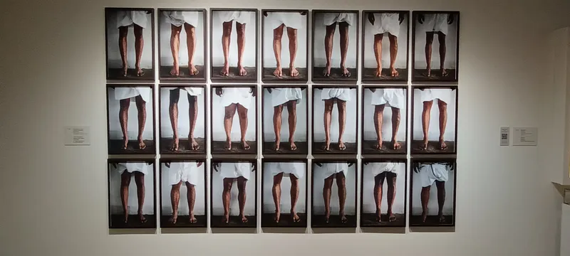 Museum of Art and Photography