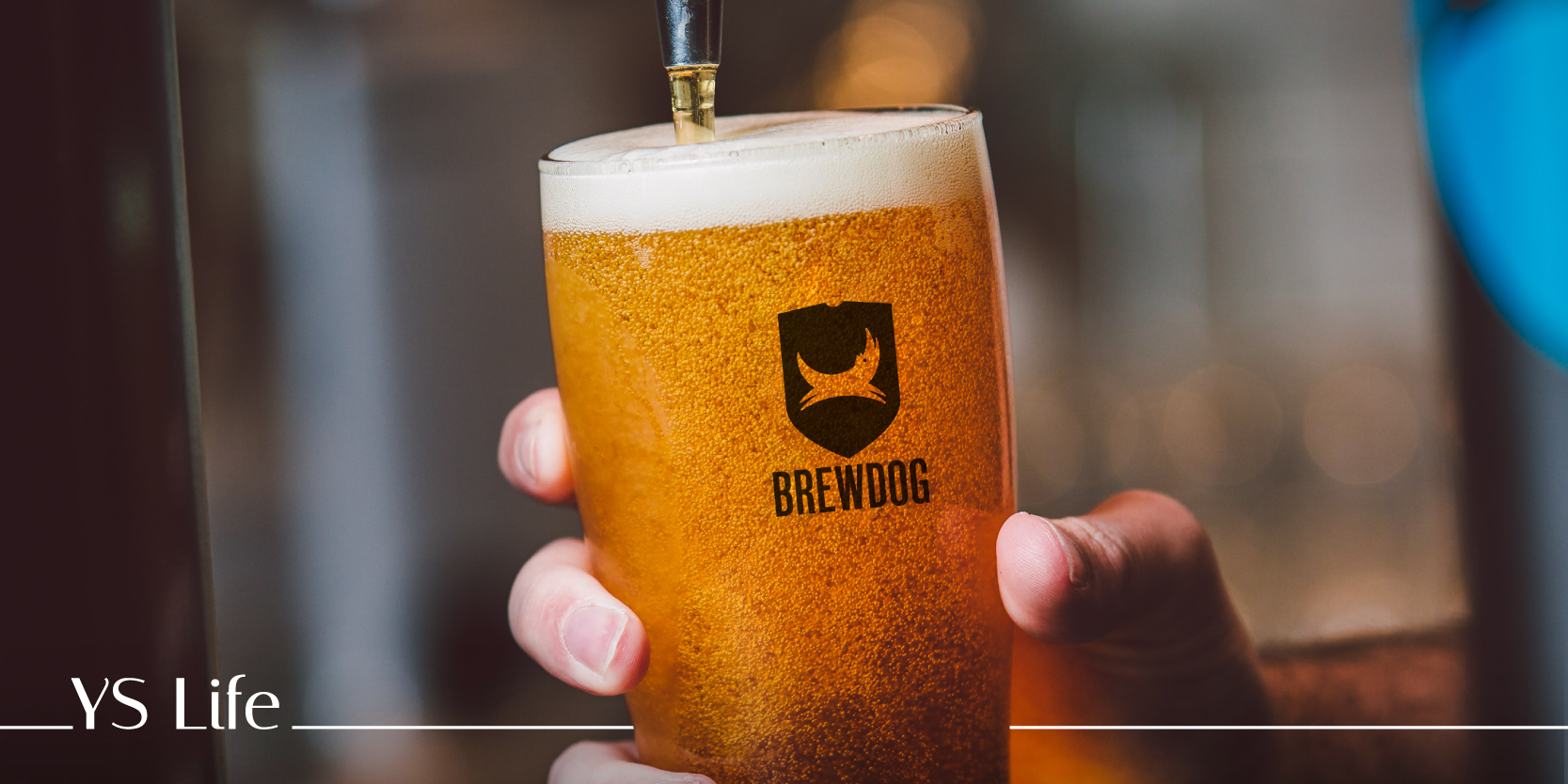BrewDog CEO James Watt on why India is on top of the charts for the global beer brand
