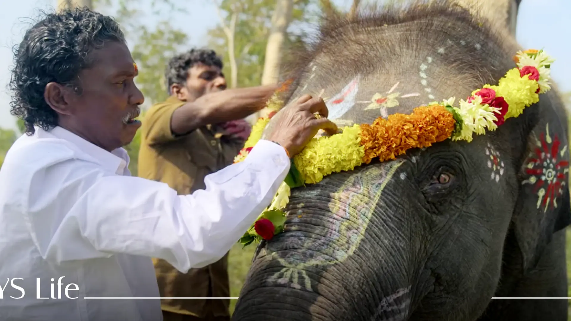 Naatu Naatu And The Elephant Whisperers highlight
a resurgent India at Oscars 2023