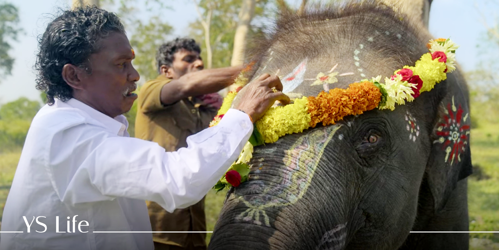 Naatu Naatu And The Elephant Whisperers highlight 
a resurgent India at Oscars 2023 