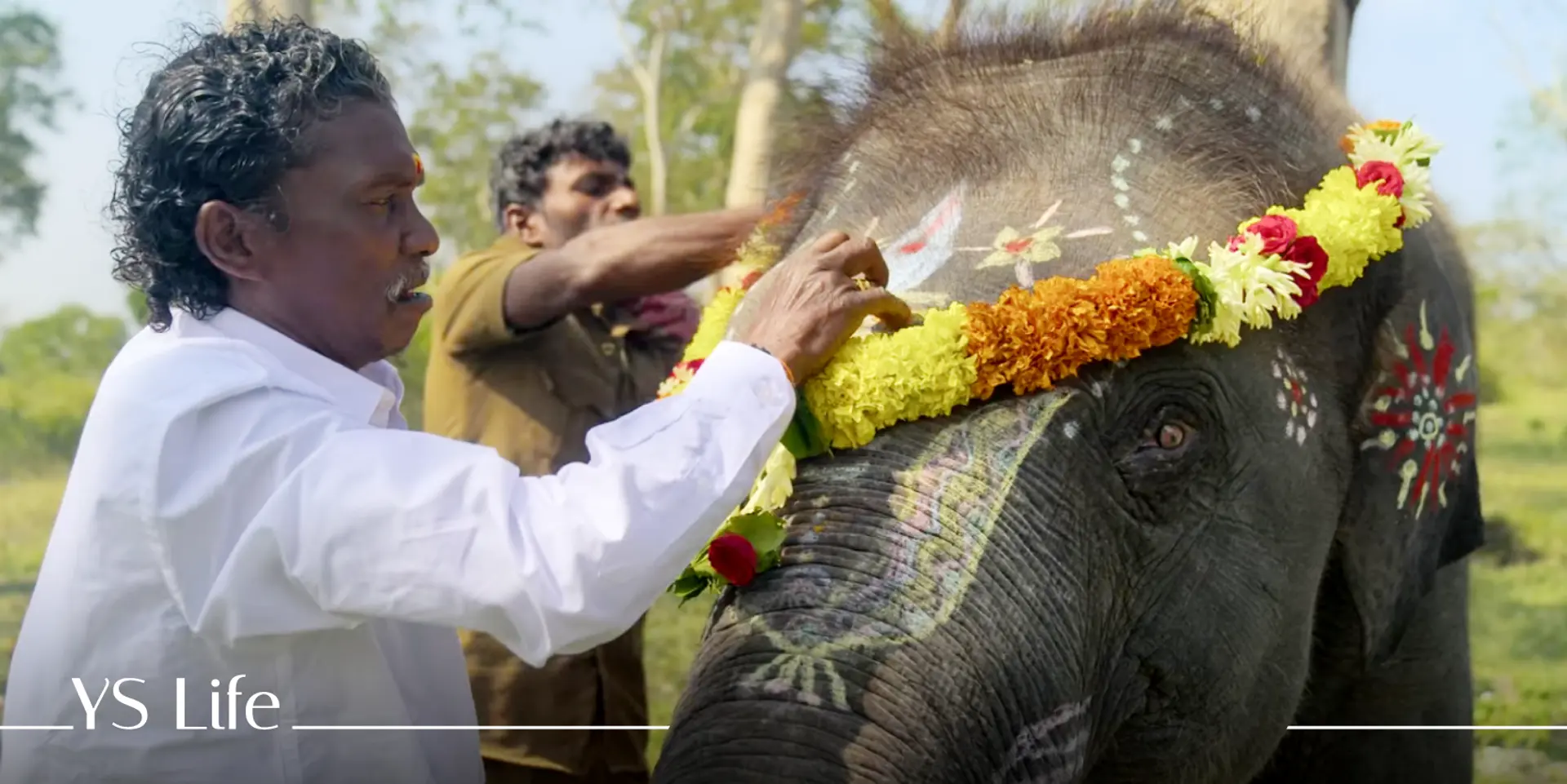 Naatu Naatu And The Elephant Whisperers highlight
a resurgent India at Oscars 2023