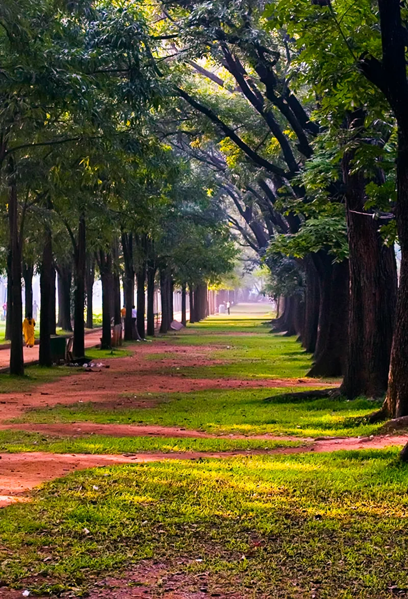 Cubbon Park 