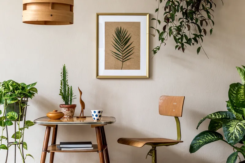 plants