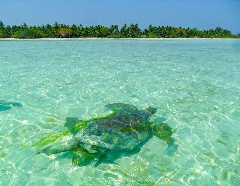 Lakshadweep