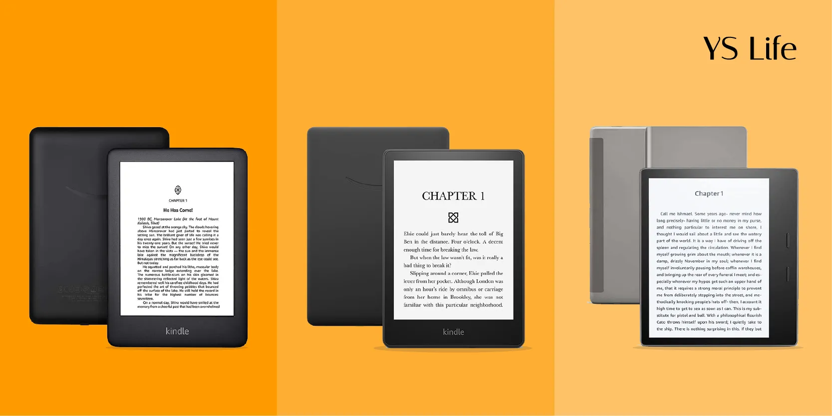 Color e-Ink vs  Kindle Paperwhite 4 
