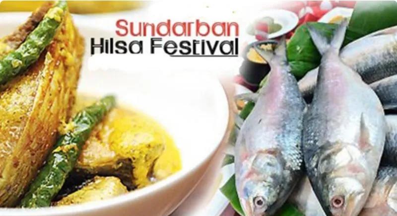 Sundarban Hilsa Festival 