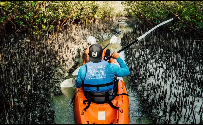 Abu Dhabi Mangroves