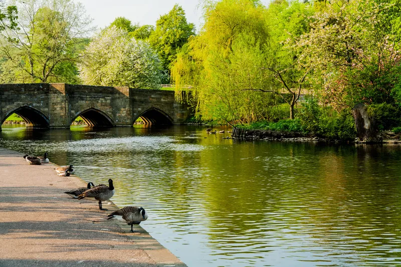 Bakewell3