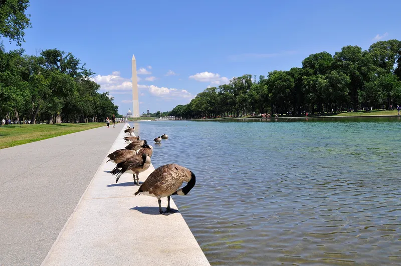 DC National Mall