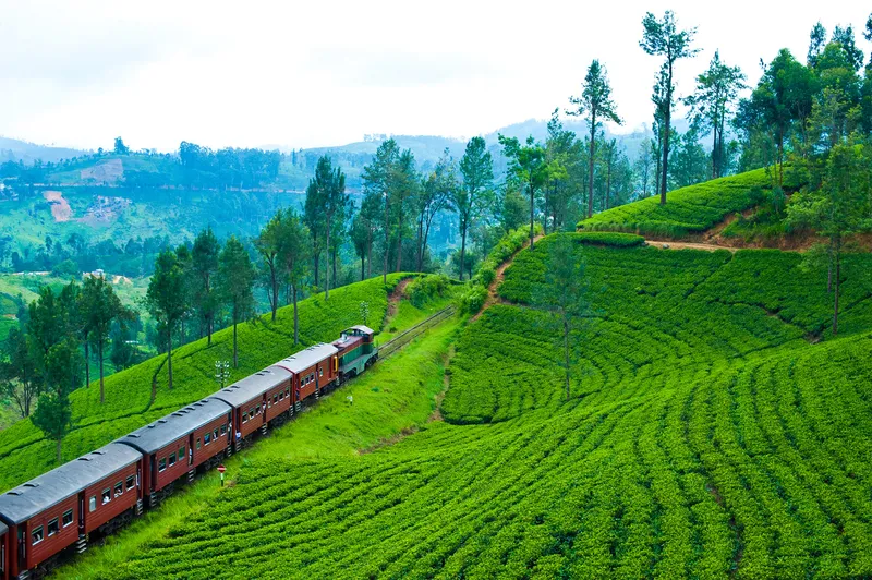 Nuwara Eliya