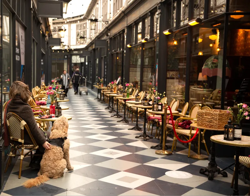 Cardiff Arcade