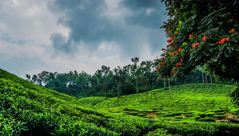 Chikamagalur