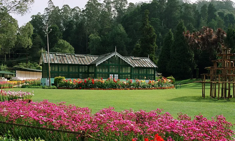 Ooty