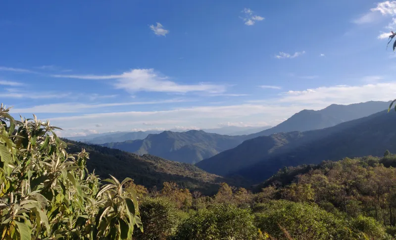 Nagaland