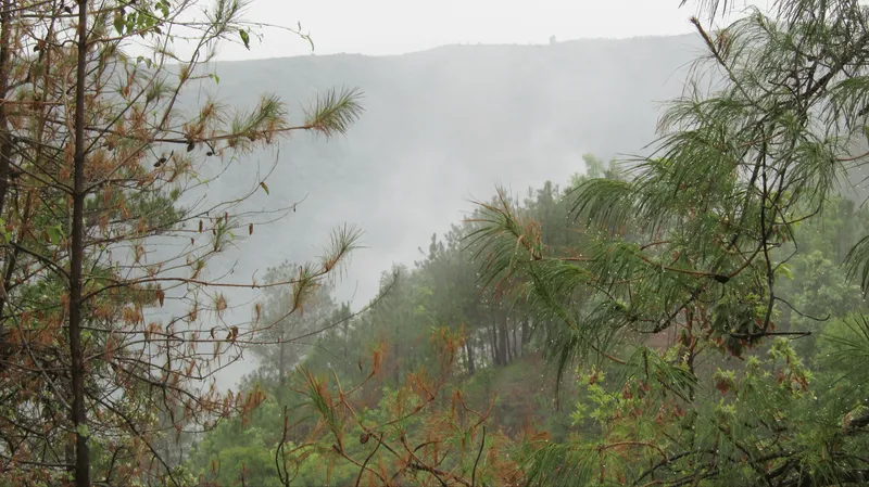 Meghalaya
